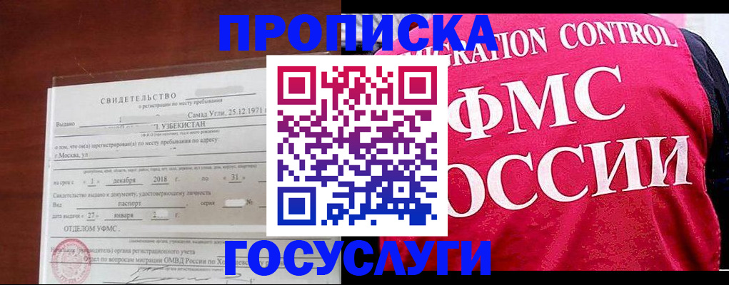 временная регистрация поиск в Камчатской области